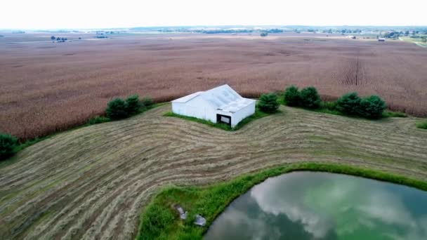 ケンタッキー州のトウモロコシ畑の上空にある納屋です — ストック動画