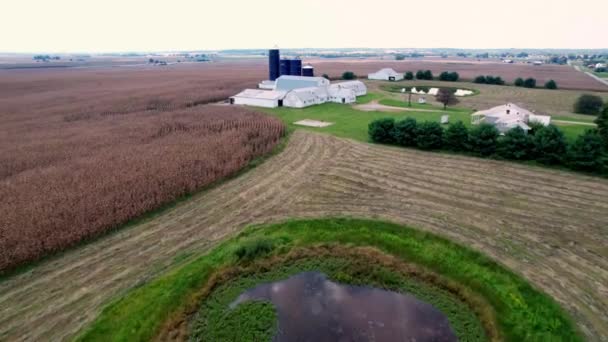 Kentucky Gård Antenn Över Silor — Stockvideo