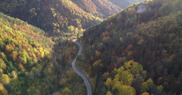 Luftaufnahmen Über Pyrenäen Malerische Straße Und Bergwald Herbst Nordspanien Bei — Stockvideo