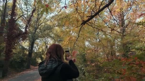 モンペリエの秋に公園で葉の写真を撮る女の子 フランス 撮影距離 — ストック動画