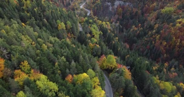 Filmato Aereo Sui Pirenei Foresta Montana Strada Autunno Nel Nord — Video Stock