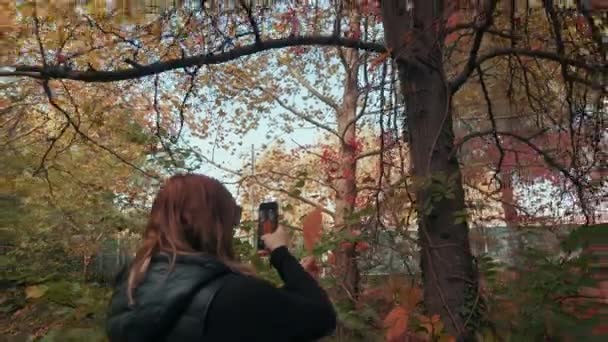 モンペリエの秋に公園で葉の写真を撮る少女 フランス — ストック動画