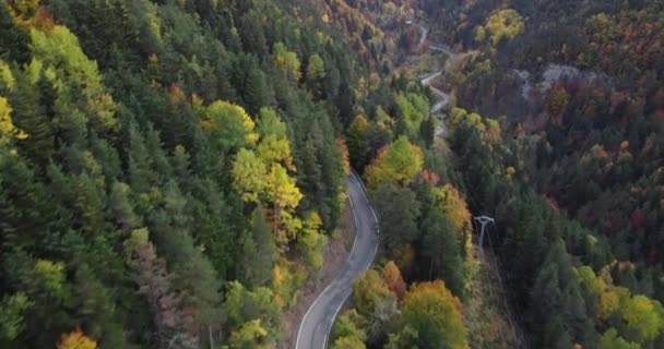 Revelando Imágenes Aéreas Sobre Paso Montaña Los Pirineos Bosque Otoño — Vídeos de Stock