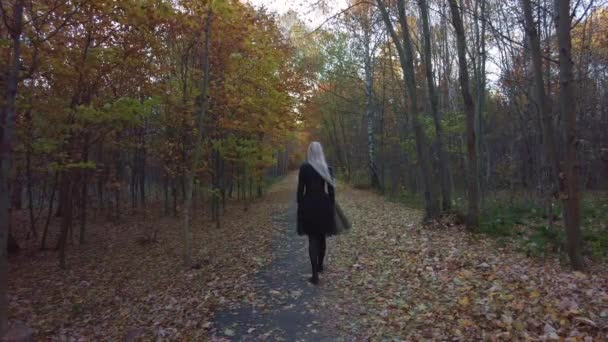 Femme Marchant Long Chemin Travers Une Ruelle Arbres Travers Des — Video