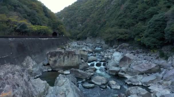 Mukogawa River Lungo Takedao Hiking Trail Volare Monte Mattino Autunno — Video Stock