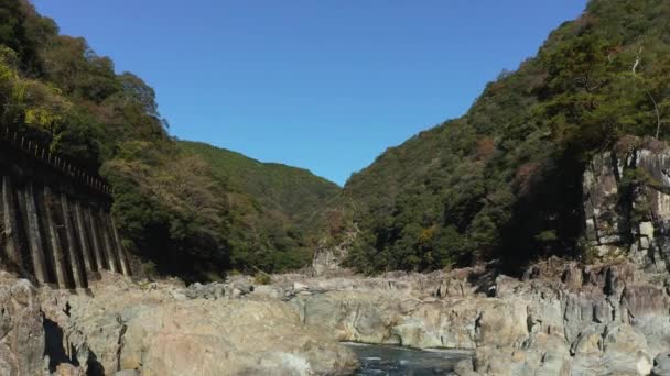 Mukogawa Schlucht Fluss Vorwärtsneigung Offenbart Schuss Hyogo Japan — Stockvideo