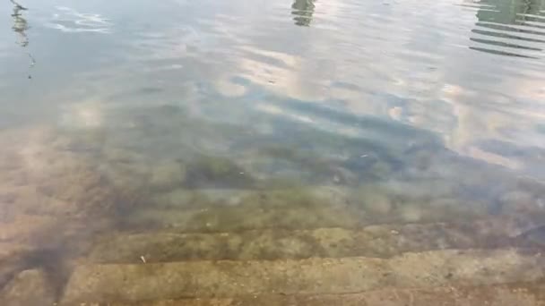 水面上肮脏的台阶 — 图库视频影像