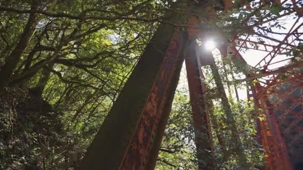 Abandoned Iron Bridge Railway Hyogo Takedao Hiking Trail Sunrise — Stock Video