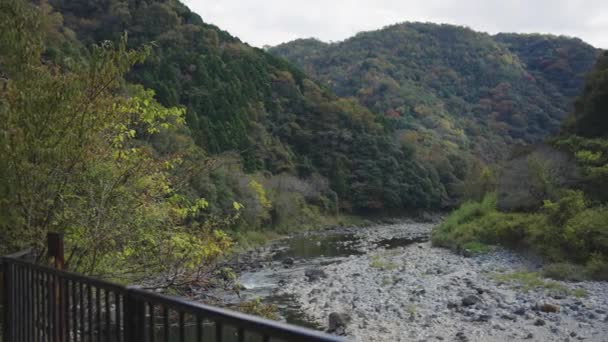 Hermosas Montañas Otoño Largo Del Abandonado Ferrocarril Fukuchiyama Hyogo Japón — Vídeo de stock