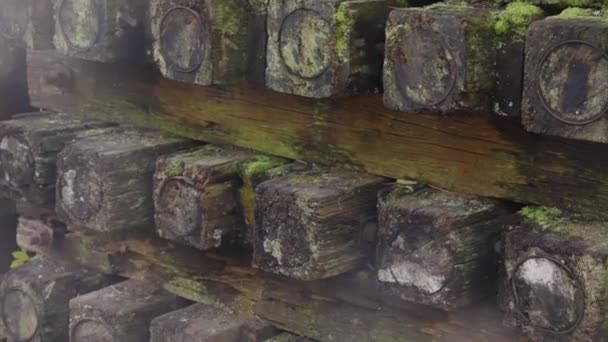 Hyogo Japan Takedao Hike Mossy Old Railway Sleepers — 비디오