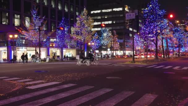 大阪街头灯火通明 圣诞节 — 图库视频影像