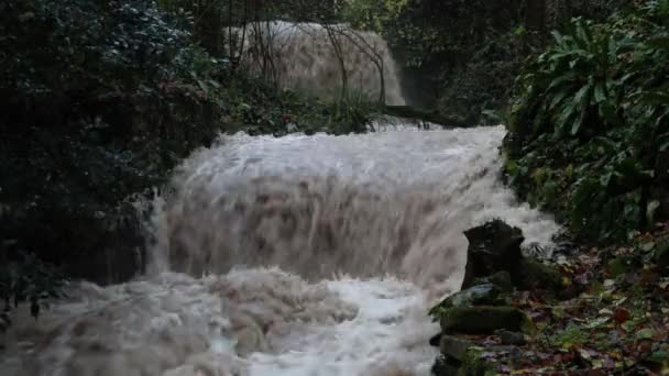 Güçlü Bir Nehir Seli Şiddetli Yağmurların Ardından Akan Çamurlu Sularla — Stok video