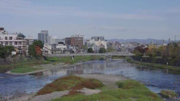 Río Kamo Cálido Día Claro Ciudad Kioto Segundo Plano Japón — Vídeo de stock