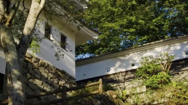 Scena Estiva Sulle Mura Del Castello Giapponese Gujo Hachiman Gifu — Video Stock