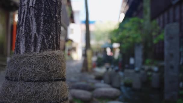 Wasserstraße Der Kleinen Straße Von Gujo Hachiman Slow Rack Focus — Stockvideo