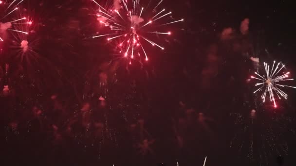 巴林国庆节期间在巴林国际赛道上展出的烟火 — 图库视频影像