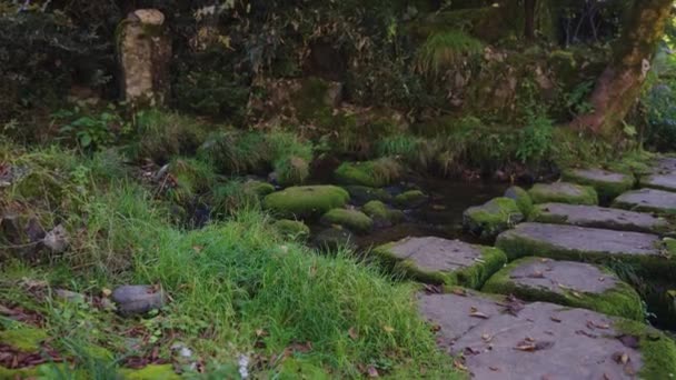 Titkos Moha Fedett Stone Path Patak Gujo Hachiman Gifu Japán — Stock videók