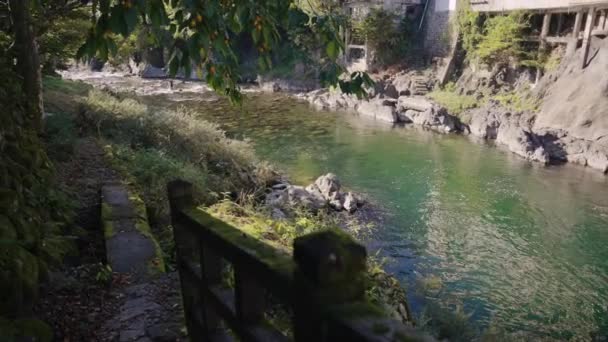 Река Йошида Деревьях Тропинке Городе Гуджо Хатиман Япония — стоковое видео