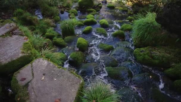 Fluir Hacia Río Yoshida Día Verano Gujo Hachiman Japón — Vídeo de stock