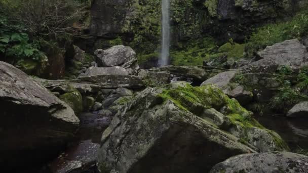 Hohe Amidaga Wasserfälle Den Gifu Bergen Langsame Enthüllung Einer Bemoosten — Stockvideo