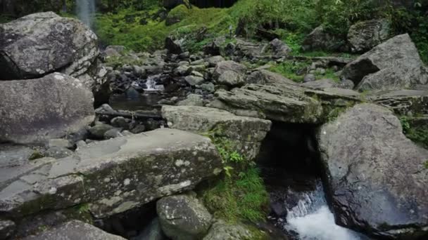 Naturlandschaft Von Gifu Amidaga Taki Falls Bemoosten Klippen Und Hohen — Stockvideo