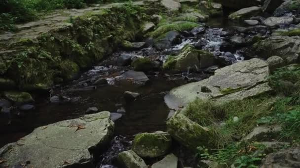 Tiszta Hegyi Patak Mentén Amidaga Taki Vízesés Vidéki Gifu Japán — Stock videók