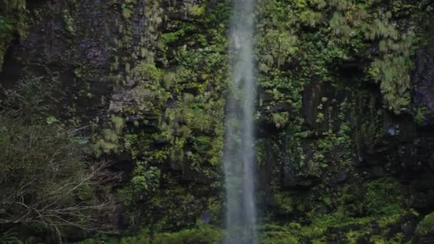 Amidaga Taki Einer Der 100 Besten Wasserfälle Japans Den Bergen — Stockvideo