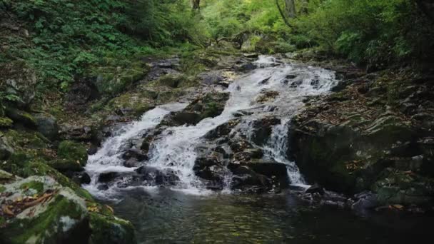 Wasser Fließt Den Ruhigen Gebirgsbach Der Nähe Der Amidaga Taki — Stockvideo