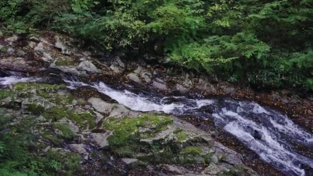 Reiner Gebirgsstrom Fließt Aus Den Amidaga Wasserfällen Gujo Ländliches Gifu — Stockvideo