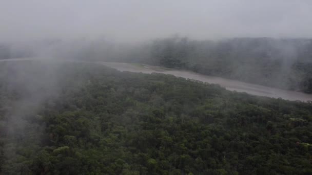 Selva Tropical Bajo Las Nubes Vista Del Dron — Vídeo de stock