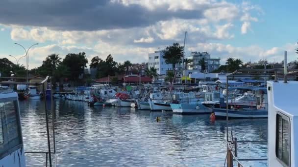 Aanlegsteiger Voor Schepen Boten Jachten Larnaca Cyprus — Stockvideo