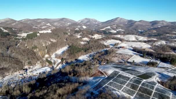 Granja Árboles Navidad Base Montaña Serpiente Carolina Norte Cerca Boone — Vídeos de Stock