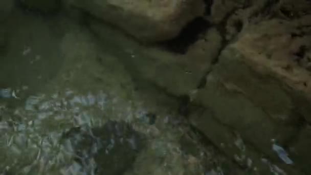 Şelaleli Dağ Deresi Arka Planda Küçük Bir Kanyon Akan Yakın — Stok video