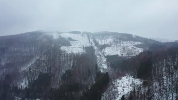 Slow Flight Snowy Mountainous Hill Winter Tall Coniferous Trees Hit — Stock Video