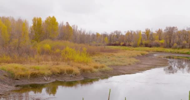 Herbstfarben Einem Bewölkten Tag Über Dem Heise Gebiet Eastern Idaho — Stockvideo