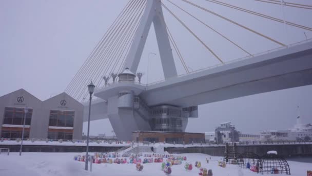 Blizzard Nad Aomori Północnej Japonii Zimowa Scena — Wideo stockowe