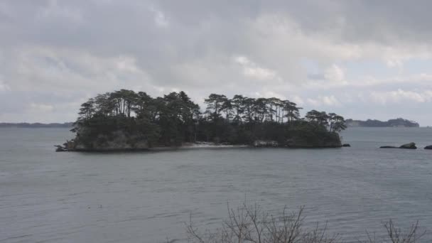 Ilhas Cobertas Por Pinheiro Matsushima Costa Inverno Prefeitura Miyagi Japão — Vídeo de Stock