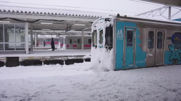 Sněhem Pokryté Vlaky Blizzardu Severním Aomori Japonsku — Stock video