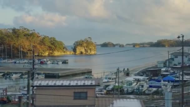 Zatoka Matsushima Zimie Widok Pociągu Mijający Zimowy Krajobraz Japonia — Wideo stockowe