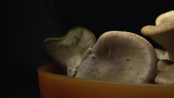 从右至左平底锅 在黑色背景下 将自家种植的蘑菇收获期关上 — 图库视频影像