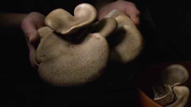 在黑色背景下 女性的手靠得紧紧的 显示出了自家种的大蘑菇的收获 — 图库视频影像