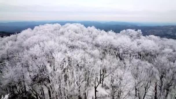 在北卡罗莱纳州吹来的岩石和巨浪的附近 空中推进到冰层上 并在树上形成坚硬的冰层 露出蓝色的山脊山脉 — 图库视频影像