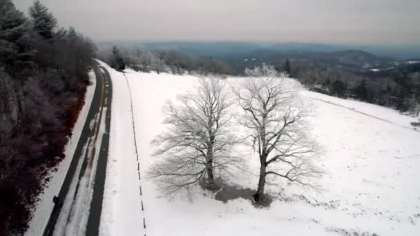 Orbite Aérienne Des Arbres Avec Vue Hiver Près Boone Rocher — Video