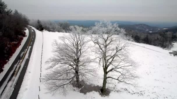 Antény Nad Osamělými Stromy Zimním Poli Blízkosti Foukání Skály Boone — Stock video