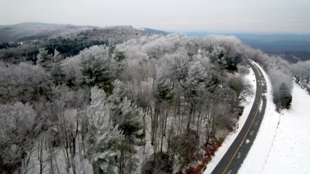 Arbres Recouverts Glace Long Crête Bleue Près Rocher Soufflant Boone — Video