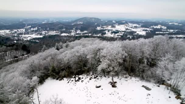 ボーンCノースカロライナ州の航空機による爆発岩の近くの木に氷と硬い樹氷と霜 — ストック動画
