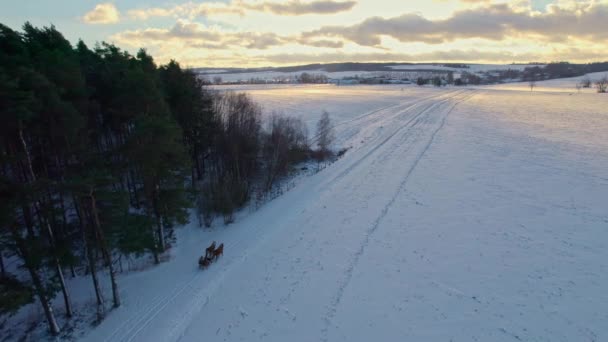 寒い冬の夜に森の横の雪に覆われた経路上の馬によって引っ張らそりの後にドローンショット — ストック動画