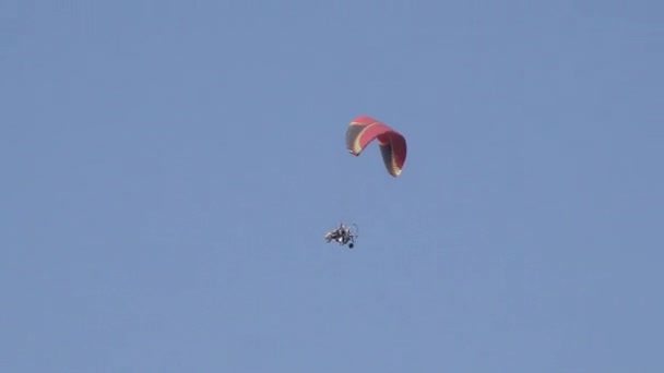 Competitive Paraglider Gliding Blue Sky Sport Competition — Stock Video