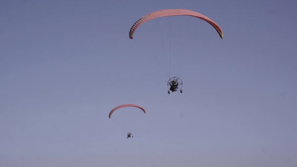 Δύο Paraglider Flying Tandem Αναψυχή Ανταγωνιστικός Αθλητισμός — Αρχείο Βίντεο