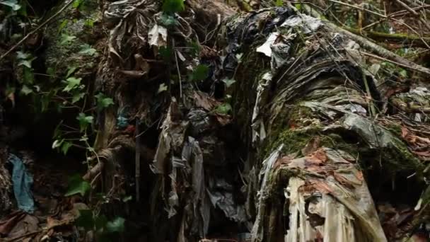 森の中に捨てられた大量の廃棄物が周囲の環境を汚染し — ストック動画